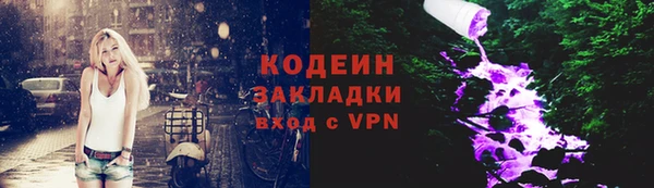 гидра Арсеньев