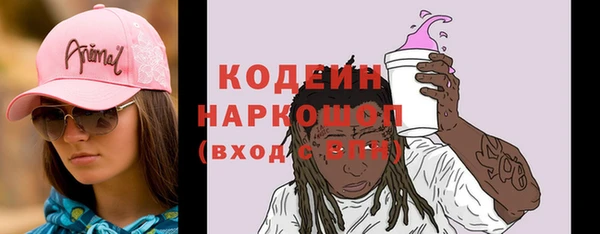 гидра Арсеньев