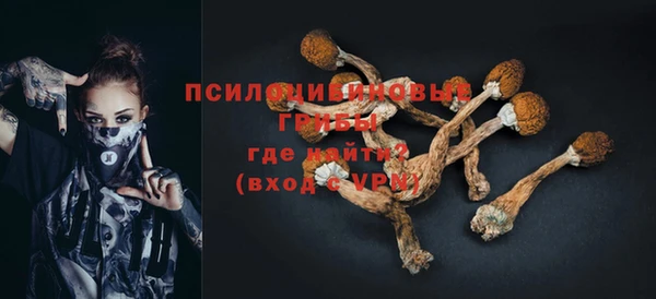 стаф Армянск