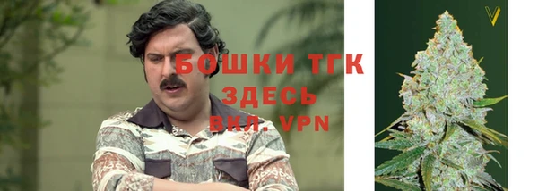 гидра Арсеньев