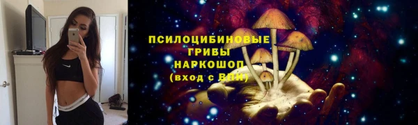 дмт Аркадак