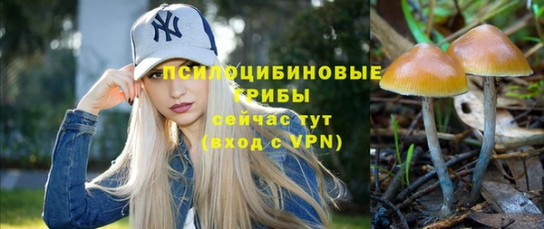 дмт Аркадак