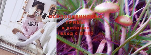 гидра Арсеньев