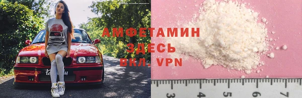 гидра Арсеньев