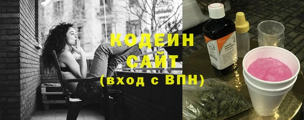 гидра Арсеньев