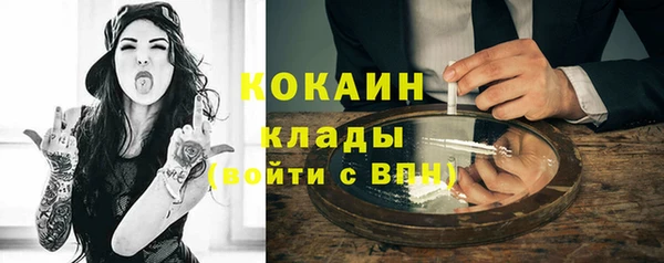 гидра Арсеньев