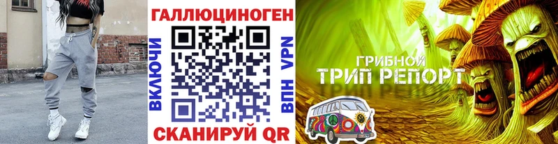 Псилоцибиновые грибы Psilocybe Верхнеуральск